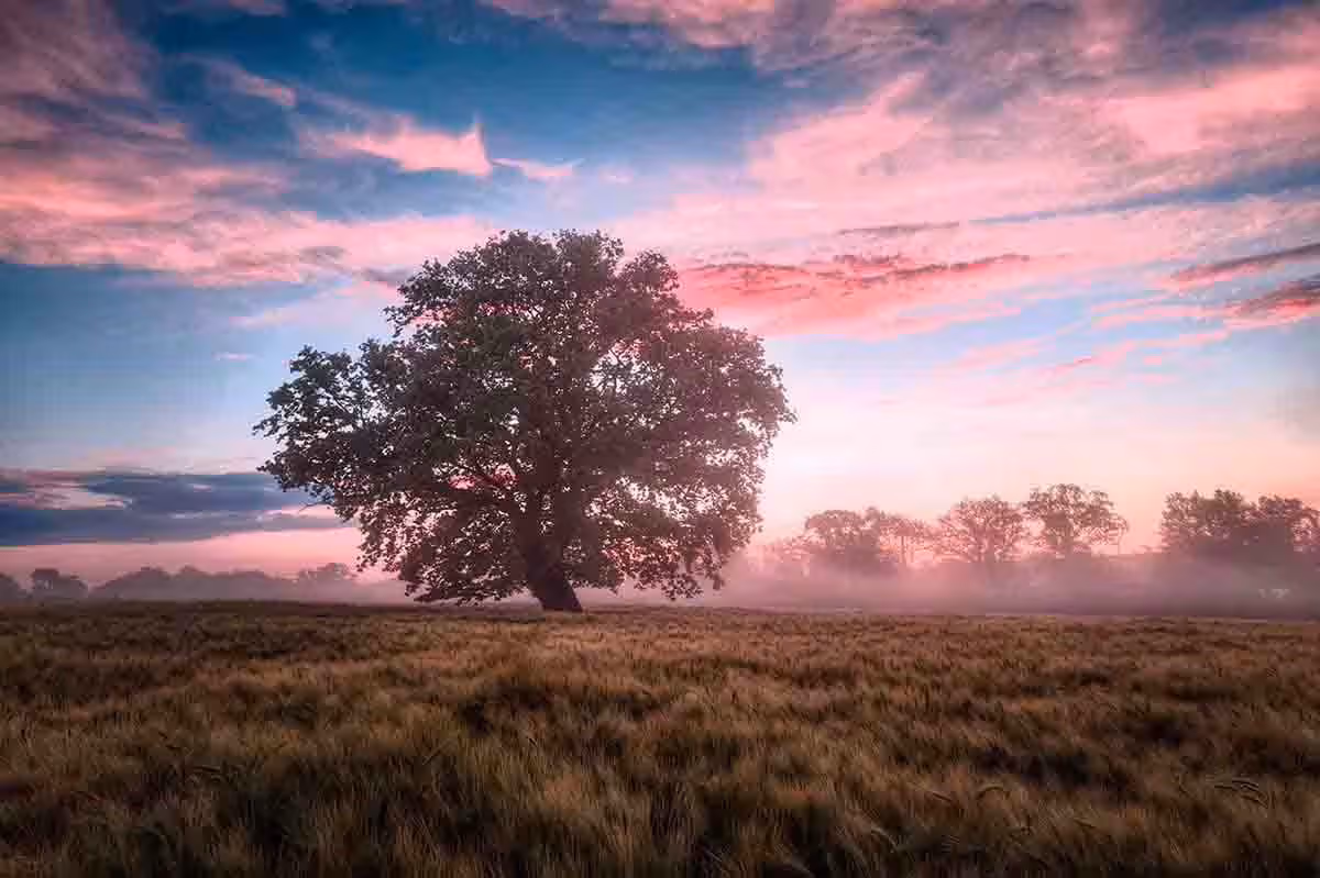 landschafts-bilder-sonnenaufgang